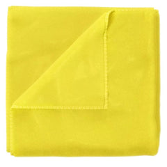 ADBL - Chick - Spezial Mikrofasertuch 40x40cm 300GSM_2